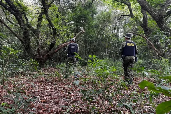 Imagem colorida, Trio de caçadores é preso com fuzil e veados abatidos no Paraná -Metrópoles