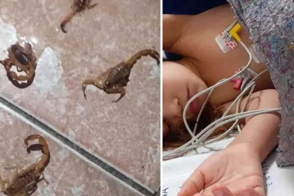 Mãe desabafa após filha ser picada por escorpião: “Ela não me respondia”