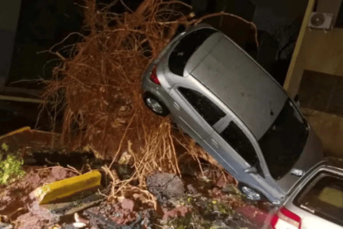 Temporal estaria relacionado com entrada de frente fria na cidade. A forte chuva resultou em quedas de árvores e destelhamentos Temporal estaria relacionado com entrada de frente fria na cidade. A forte chuva resultou em quedas de árvores e destelhamentos