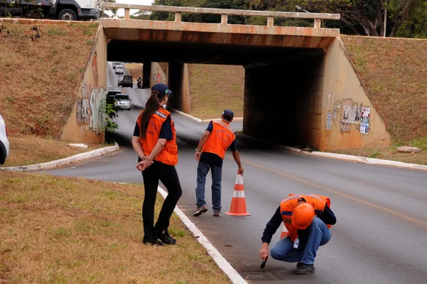 Tesourinhas da Asa Norte interditadas para limpeza