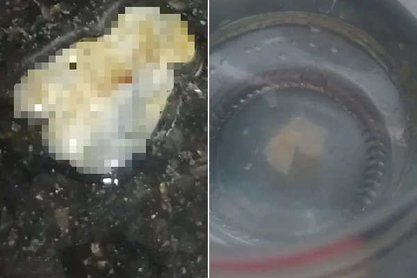 Moradores relatam “restos” de égua na água em BH; Copasa se manifesta