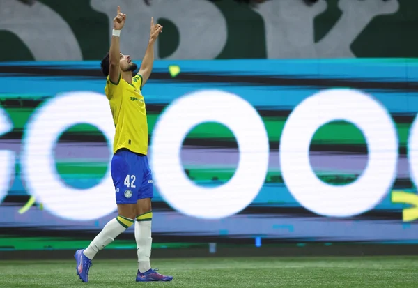 Imagem colorida do Palmeiras