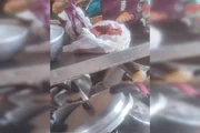 Os alimentos na bancada