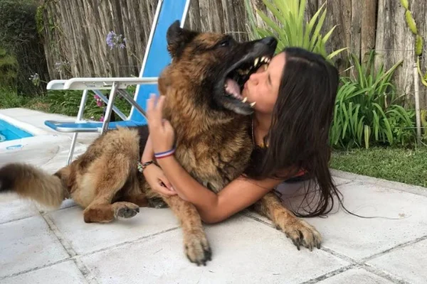 Argentina leva mordida de cão no rosto ao tentar tirar uma foto