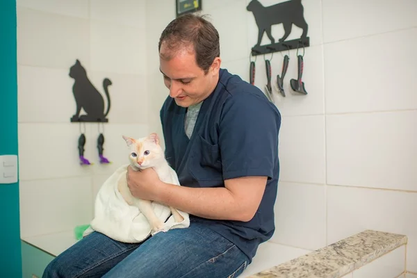 Tutores pensam nos pets na hora da escolher o imóvel