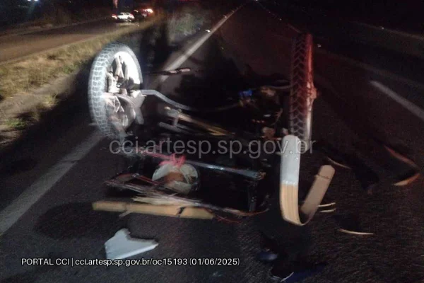Segundo a Artesp, o condutor da charrete, que foi atingida na traseira, evadiu-se com o animal. Um dos motociclistas não sobreviveu - Metrópoles
