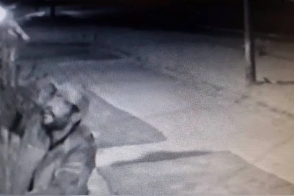Homem furta câmera de segurança Homem furta câmera de segurança