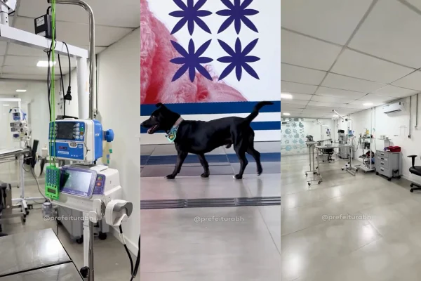 Centro Avançado de Saúde Animal Odete Ferreira Martins (Casa)