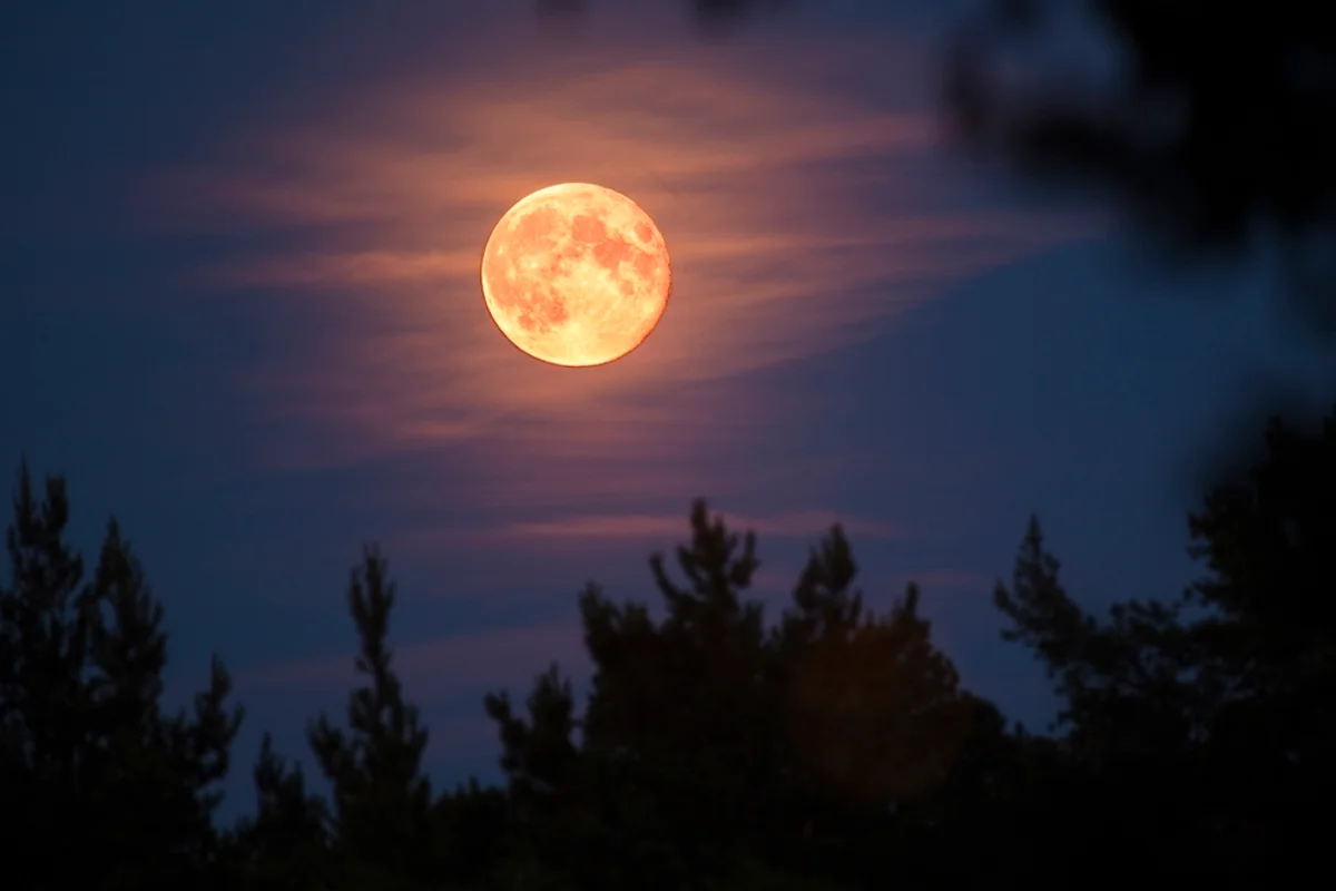 Lua de Morango ilumina o céu do Brasil nesta segunda-feira: entenda o fenômeno e saiba os horários