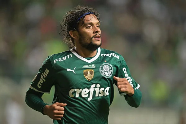 Imagem colorida de Gustavo Scarpa