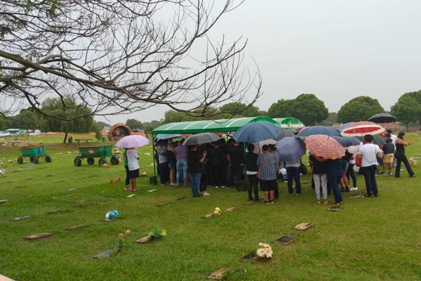 Imagem colorida de uma área verde e ao fundo, algumas pessoas juntas