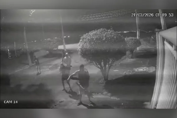Imagem colorida,capivara agredida por grupo de seis homens no RJ- Metrópoles