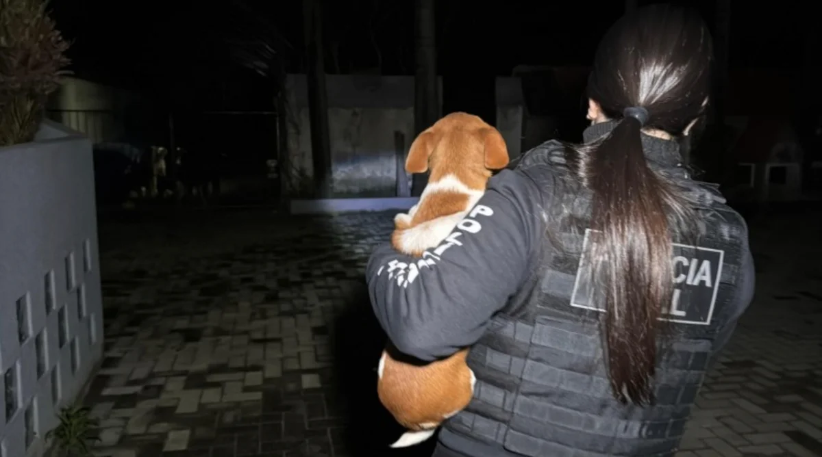 Ex-secretária de Bem-Estar Animal é presa por “eutanásia via Pix” - imagem 15 Ex-secretária de Bem-Estar Animal é presa por “eutanásia via Pix” - imagem 15