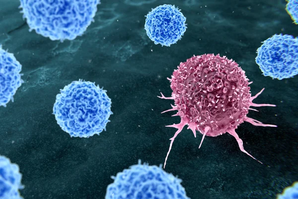 Ilustração representando a terapia com linfócitos infiltrantes de tumor (TIL) para o tratamento do câncer. Durante a terapia com TIL, células T (azuis) que reconhecem células tumorais (vermelhas) são obtidas do paciente. Metrópoles