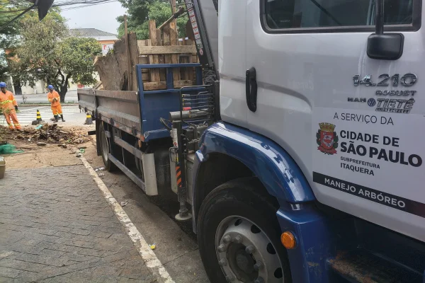 Imagem mostra caminhão - Metrópoles