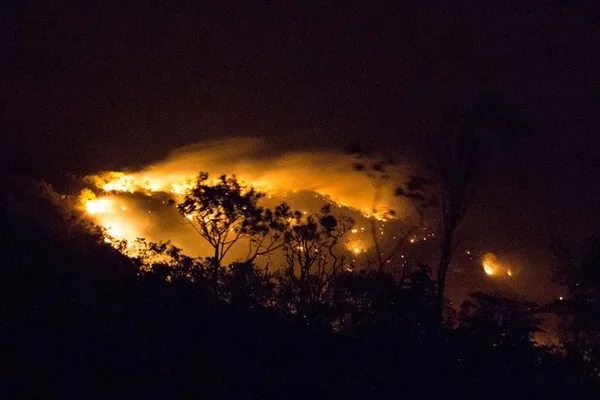 Incêndio já consumiu 14,6% do Parque Nacional da Chapada dos Veadeiros