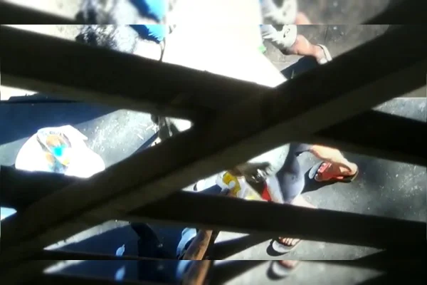 Homem de camisa branco deixa sacola de leite no chão