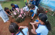 Alunos e professores da Escola Classe 03 do Núcleo Bandeirante, onde Valentina Nobre estudava, fazem homenagem à criança, que morreu devido a picada de escorpião.