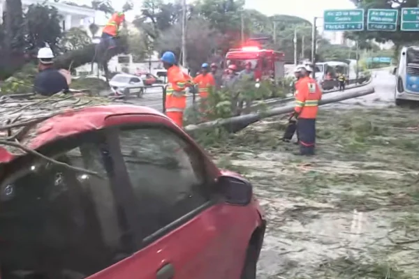 As vítimas foram socorridas pelo Serviço de Atendimento Móvel de Urgência (SAMU), sofreram ferimentos leves e não correm risco - Metrópoles