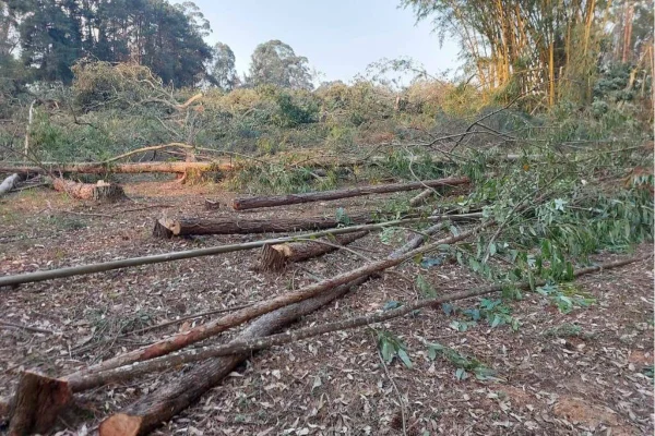 Construtora nega irregularidade e afirma que ação do MPSP não é relacionada ao terreno do empreendimento, que seria construído em São Paulo - Metrópoles