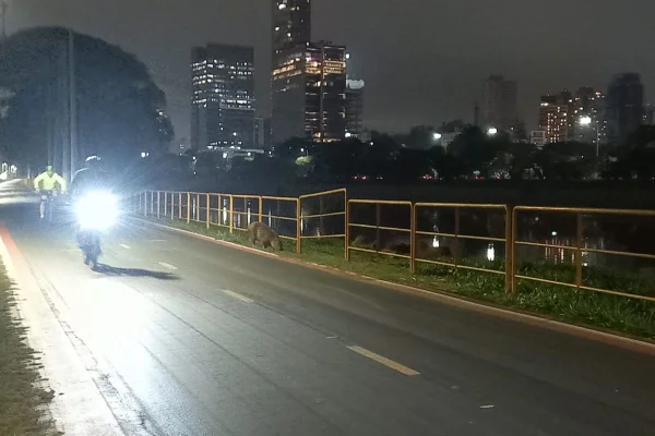 Imagem colorida mostra a ciclovia do Rio Pinheiros, que sofre com falta de iluminação - Metrópoles