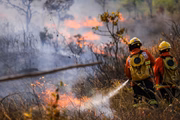 Bombeiros combatem o incêndio desde terça-feira