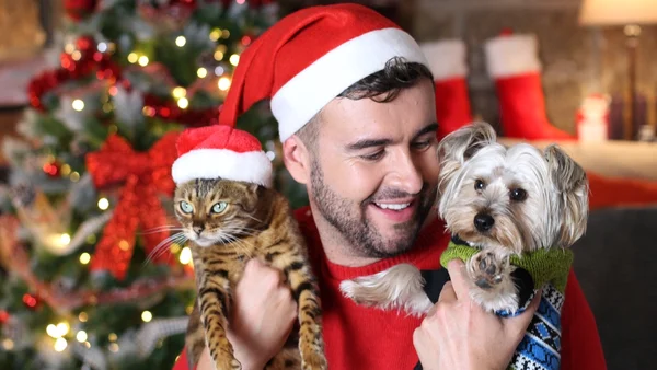tutor com pets em ensaio fotográfico no natal