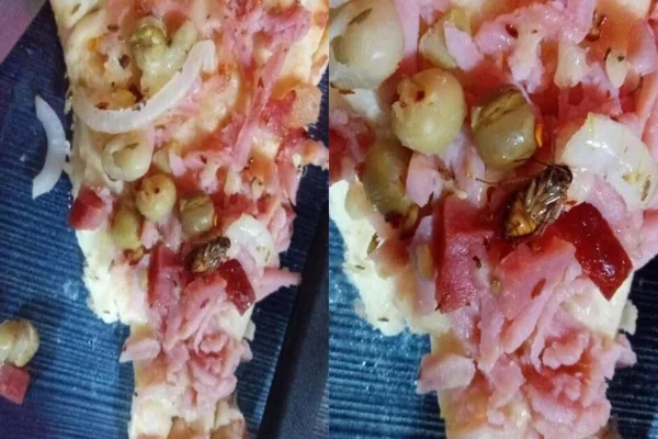 Imagem colorida, barata em uma pizza - Metrópoles