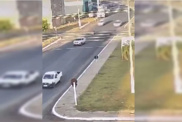 Imagem colorida de local de atropelamento de crianças em MT - Metrópoles
