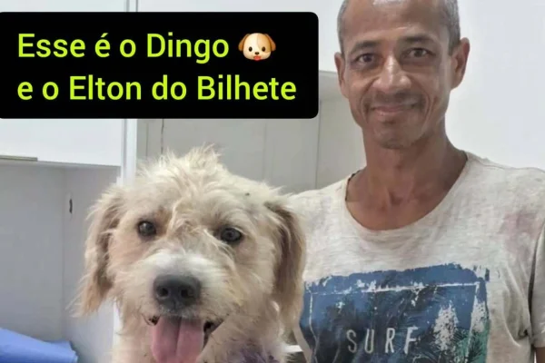 ong carta cão homem rua tutor