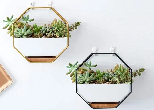 Casa verde: 10 lindos vasos de plantas de parede para colorir o lar