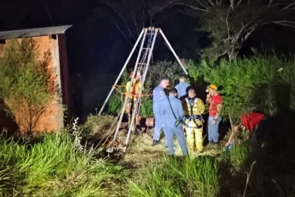 foto colorida de Polícia Ambiental e bombeiros resgatando vaca que caiu em poço em Presidente Prudente (SP) - Metrópoles