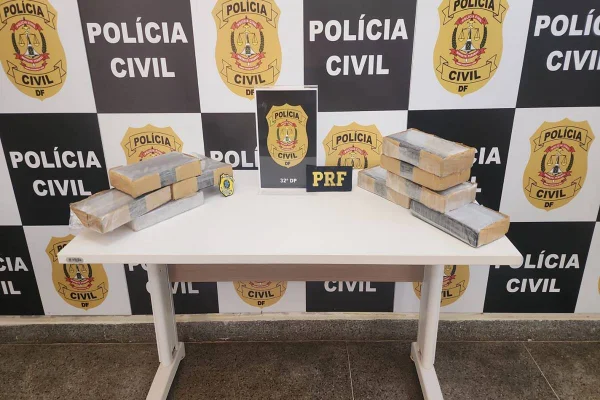 Cocaína apreendida na BR-060