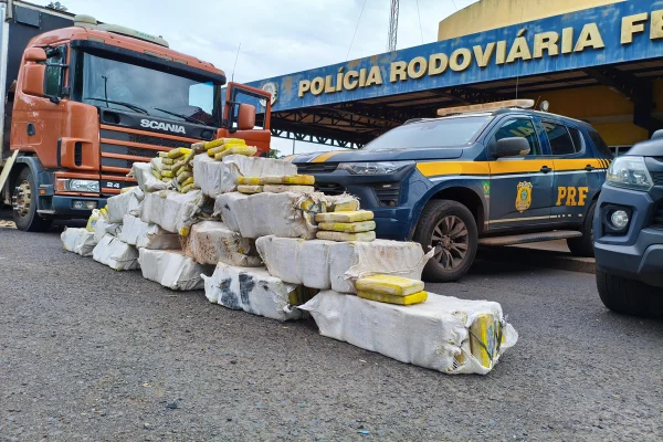 Caminhão com 700 kg de maconha é interceptado e motorista vai preso
