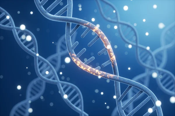 Ciência biotecnologia DNA cromossomo, renderização 3D DNA células doença genética Josh Hawley câncer - Cientistas descobrem complexo de DNA ligado à fertilidade e ao câncer. genetica - gene