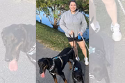 Thor tem uma "irmã", a Amora 
