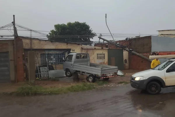 Chuva de 20 minutos causa queda de árvore e estragos em região do DF