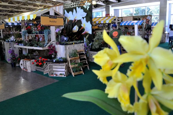 Feira reúne produtores familiares no Centro de Convenções
