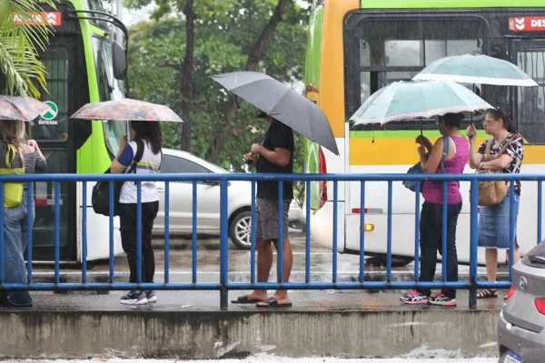 Imagem colorida de pessoas segurando guardas-chuvas em uma parada de ônibus em Pernambuco - Metrópoles