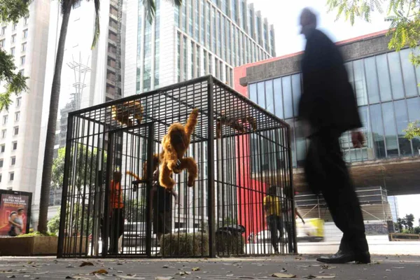 Uma jaula na Avenida Paulista: intervenção artística defende animais