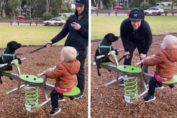 na montagem temos duas fotos. nas duas existe uma gangorra com uma criança de um lado e um bebe de outro e um homem em pé no meio
