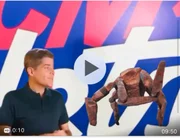 ACM Neto troca gravações individuais com apoiadores por IA e vira meme - imagem 4