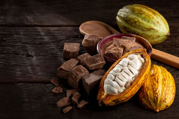cacau e chocolate