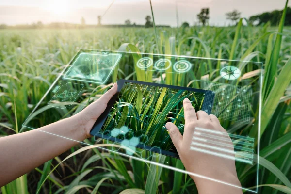 Foto colorida de tecnologia sendo usada em campo - Metrópoles.