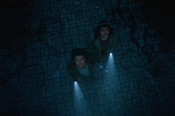 Imagem colorida de Joe Keery como Steve Harrington e Gaten Matarazzo como Dustin Henderson em Stranger Things - Metrópoles