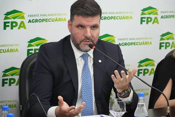 Líder da bancada do agro: preços do frango podem não cair nas gôndolas