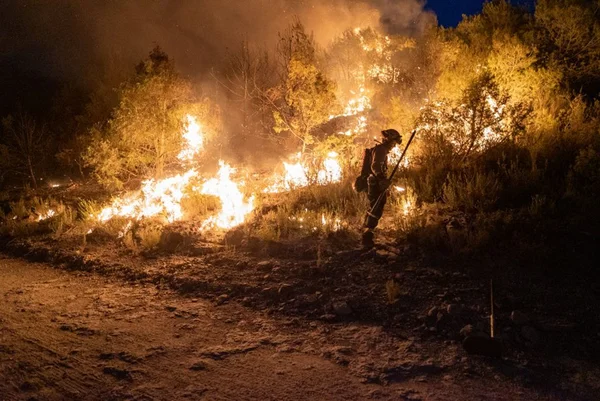 Chamas fortes são vistas em florestas na Península Ibérica