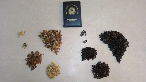 Imagem colorida de Café apreendido pela Agricultura