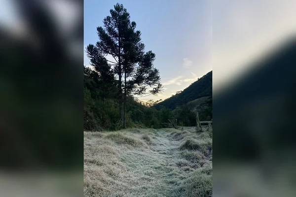 Parque Nacional do Itatiaia pela manhã com o gramado coberto por geada após recorde de frio de -11,4°C - Metrópoles