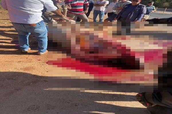 Foto colorida de pessoas amontoadas ao redor de carcaça de boi